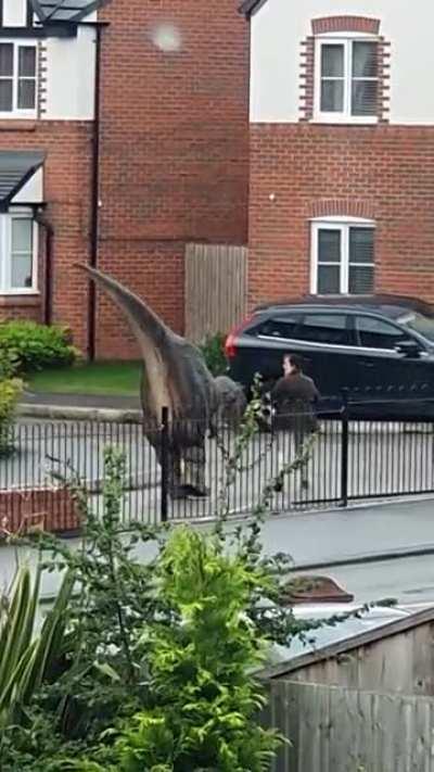 Just looked out the bedroom window and.......