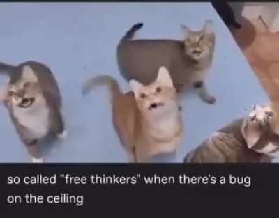 Synchronised baffled wunks