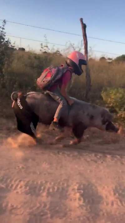 Boy returning from school