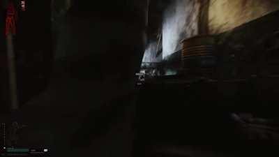 I've awoken the horde.