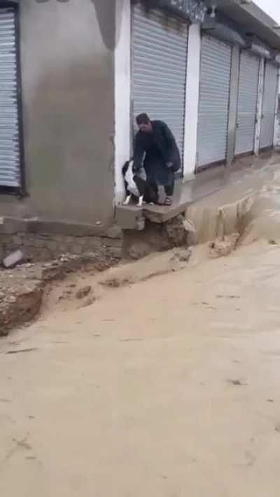 sometimes humans are humans