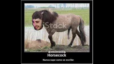 horsec*ck