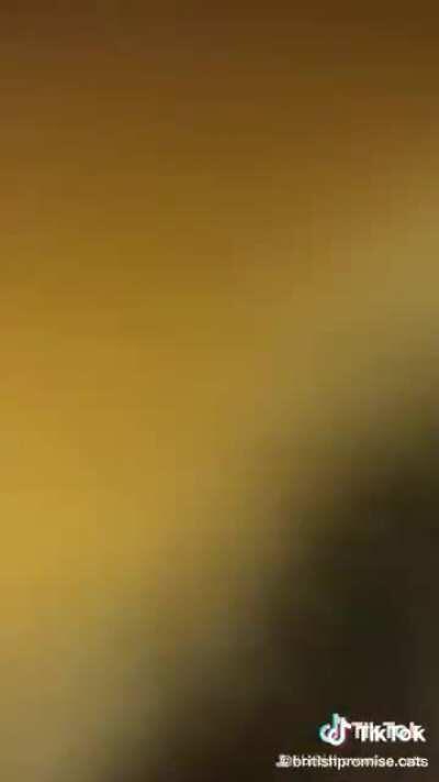 VICIOuS TIger AtTAcks vIEweR