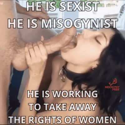 I'm sexist, I'm misoginyst, and I believe holes don't have rights. Any problems?