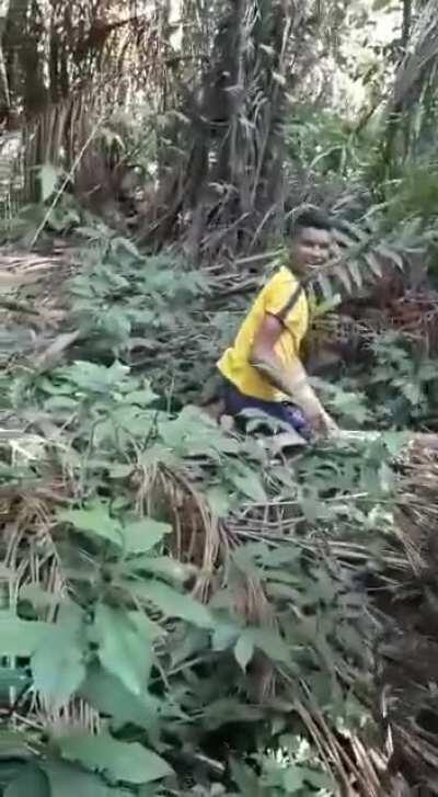 Nature is beautiful!