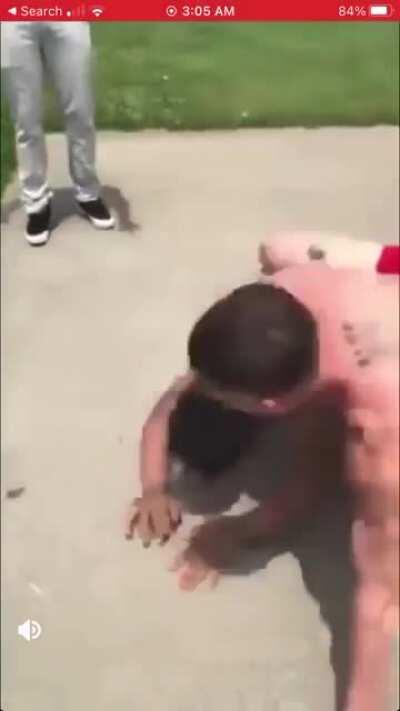 Anyone have any similar videos where one gets put to sleep or choked ? Drop in the comments