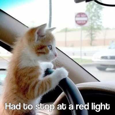 I can't believe today was a good day!