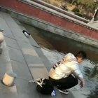 Catching a fish for a hungry cat.