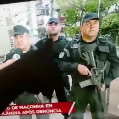 After a huge cocaine seizure