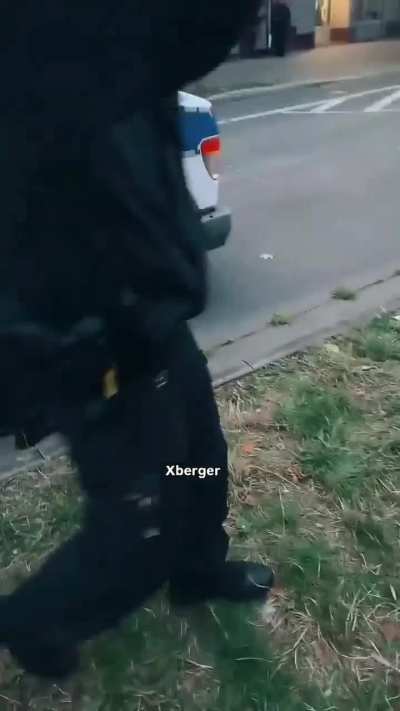 police in berlin beat a handcuffed pro-palestine protester in the car and try to prevent it from being filmed