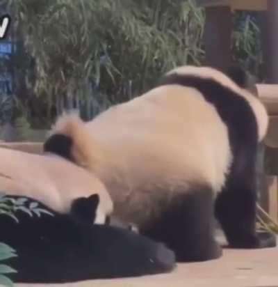 Don’t mind me, just need to wipe myself off real quick