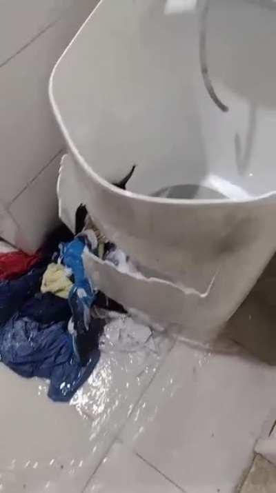 Latam bodrio la burla del mundo