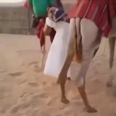 Eu e minha webnamorada na viagem pro Egito 😍😍😍😍😍😍