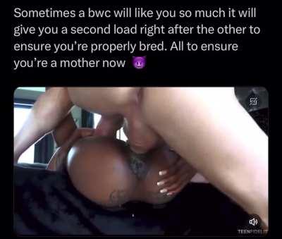 Bwc double breeding to ensure motherhood 😈