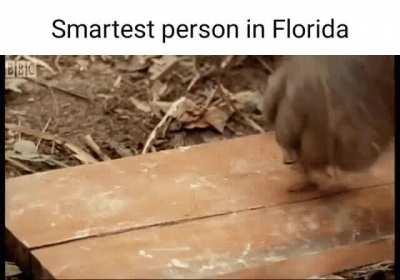 Florida