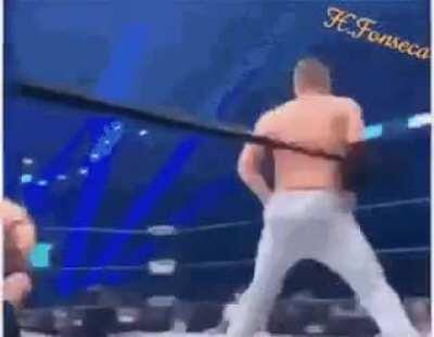 Pure Bugs Bunny fisticuffs right there.