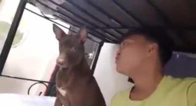 When your calling your dog but you stole his treats earlier (credits to u/shhty for viceo)