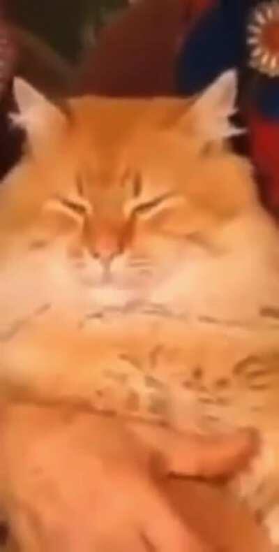 Only the best for this sub. Blessed be.