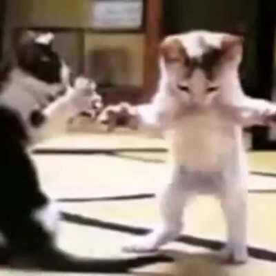 Totally me when I get wifi everywhere I go