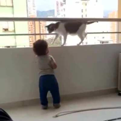 Cat protecting child from the ledge