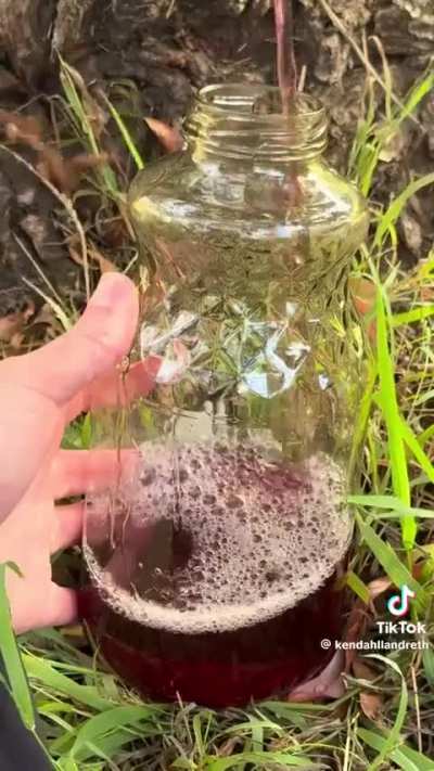 Vampire Becomes A Tradwife 😭😭😭