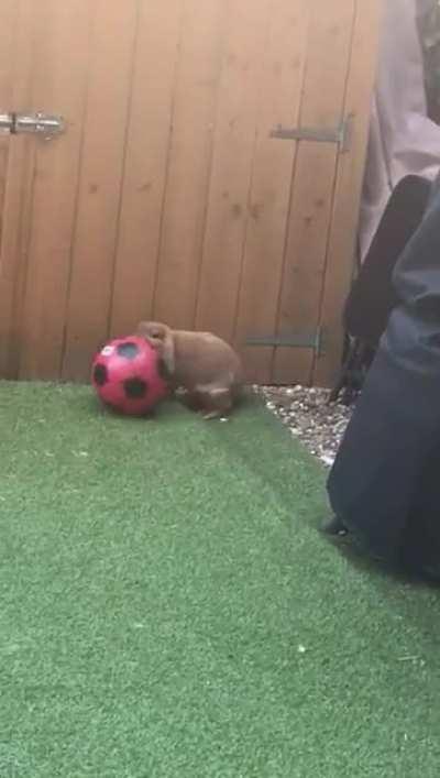 Jonathan having a ball !