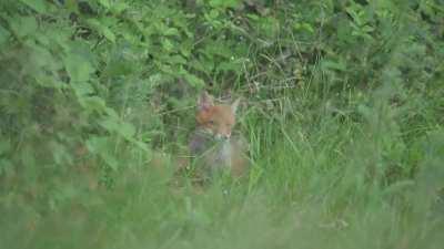 Eat your greens [OC]