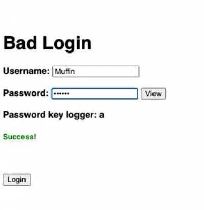 With this design, you never have to input a wrong password ever again!