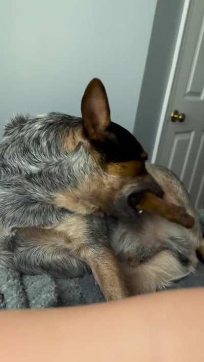 Luke isn’t playing with a full deck.