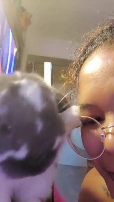 Bun kisses melt me heart♡