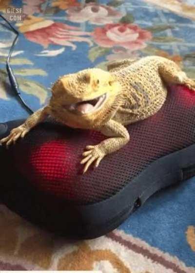 It seems that massage is loved even by those who do not know what it is