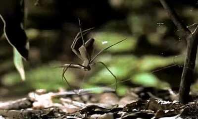 I can’t wait to see the cool bros this spring