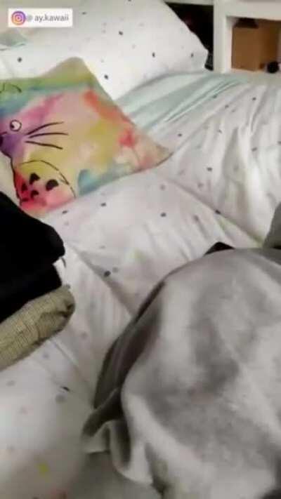 Girl Gets Fucked Up The Ass By Her Roommate While Crying And Moaning