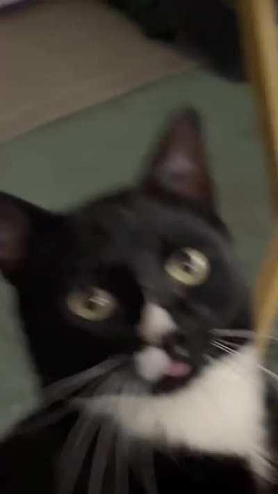 Meet Finn. He's a special boy.