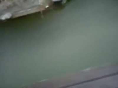 DBS jumping in the icy pool!