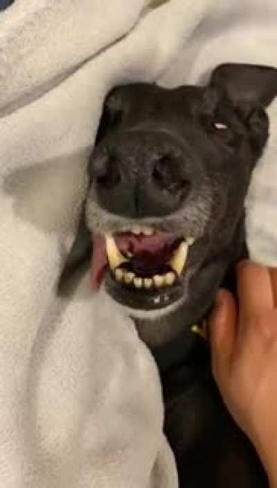 Tired after a big day