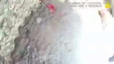 Routine Arrest In Chicago Goes South Real Quick