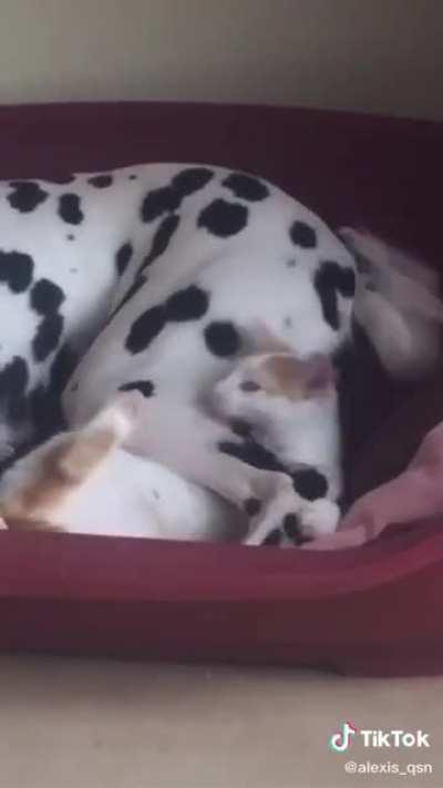 It just keeps getting harder and harder