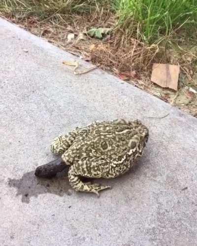 All I can say is wow.