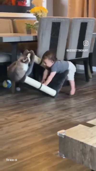 The cat was okay