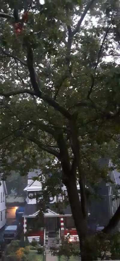 a strong thunderstorm with heavy rain ⛈⛈⛈