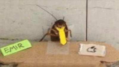 Hasan saves the day (real)