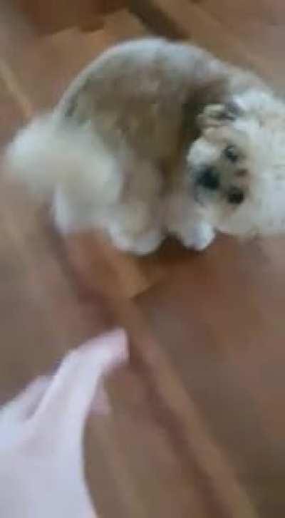 Greetings from the top of the stairs