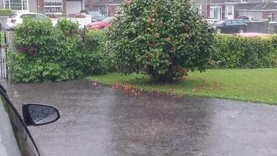 More Ireland Rain I hope I did the upload right this time!