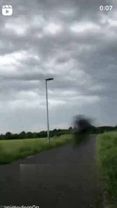 وقتی شارژ گوشیت ۱ درصده 🤣🤣