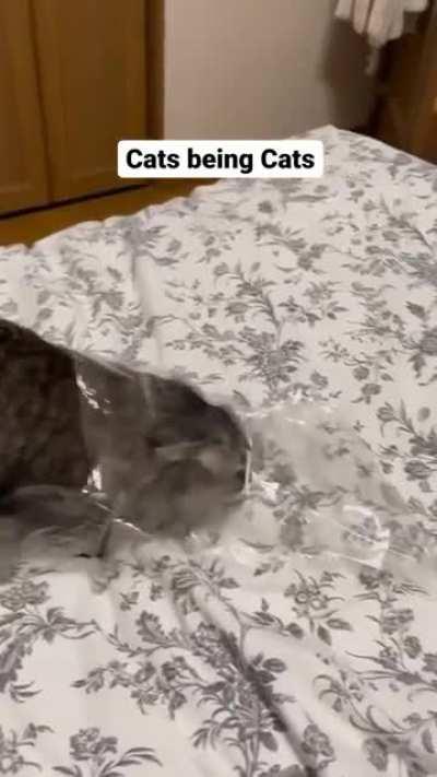 packaged for resale.