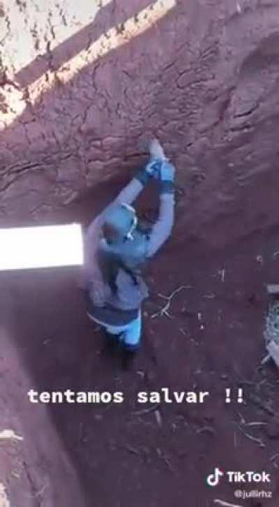 to rescue a critter.