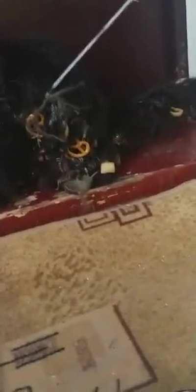 Затарился по акции