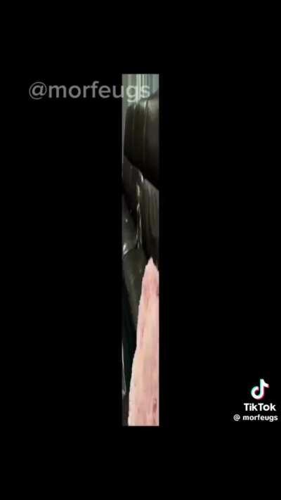 First brainrot in 9 days