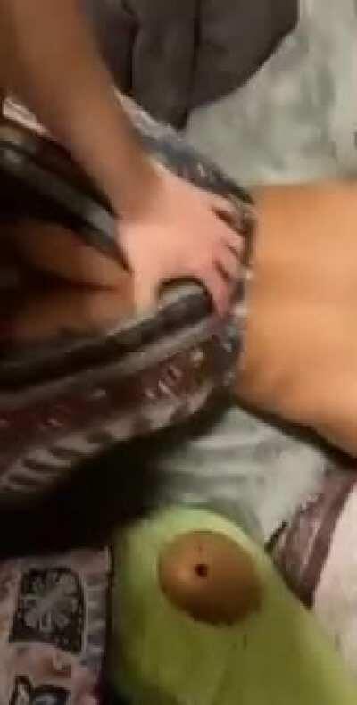 everyone on this thread's fantasy